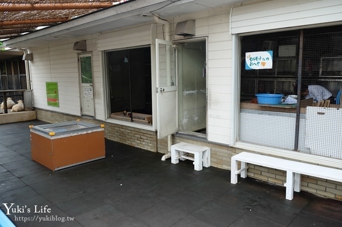 東京親子景點【荒川遊園地】親子同遊高CP值遊樂園!餵動物、釣魚、玩水去！ - yuki.tw