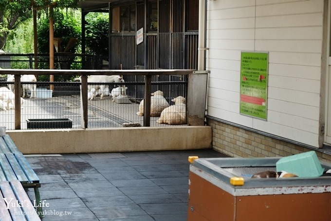 東京親子景點【荒川遊園地】親子同遊高CP值遊樂園!餵動物、釣魚、玩水去！ - yuki.tw