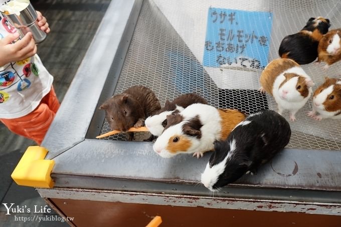 東京親子景點【荒川遊園地】親子同遊高CP值遊樂園!餵動物、釣魚、玩水去！ - yuki.tw