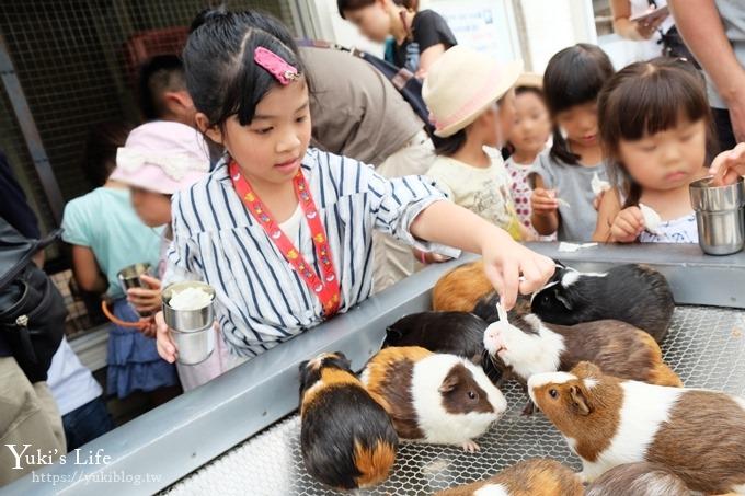 東京親子景點【荒川遊園地】親子同遊高CP值遊樂園!餵動物、釣魚、玩水去！ - yuki.tw