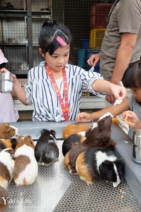 東京親子景點【荒川遊園地】親子同遊高CP值遊樂園!餵動物、釣魚、玩水去！ - yuki.tw