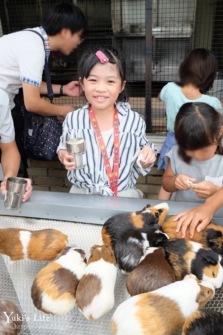 東京親子景點【荒川遊園地】親子同遊高CP值遊樂園!餵動物、釣魚、玩水去！ - yuki.tw