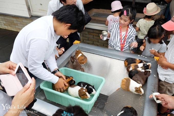 東京親子景點【荒川遊園地】親子同遊高CP值遊樂園!餵動物、釣魚、玩水去！ - yuki.tw