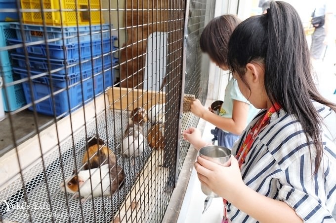 東京親子景點【荒川遊園地】親子同遊高CP值遊樂園!餵動物、釣魚、玩水去！ - yuki.tw