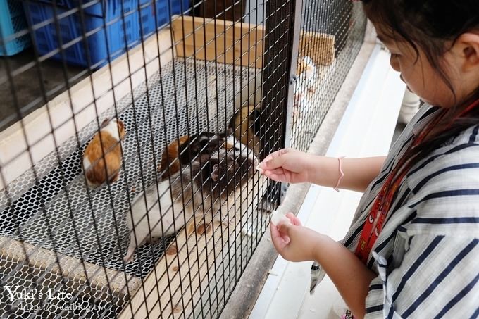 東京親子景點【荒川遊園地】親子同遊高CP值遊樂園!餵動物、釣魚、玩水去！ - yuki.tw