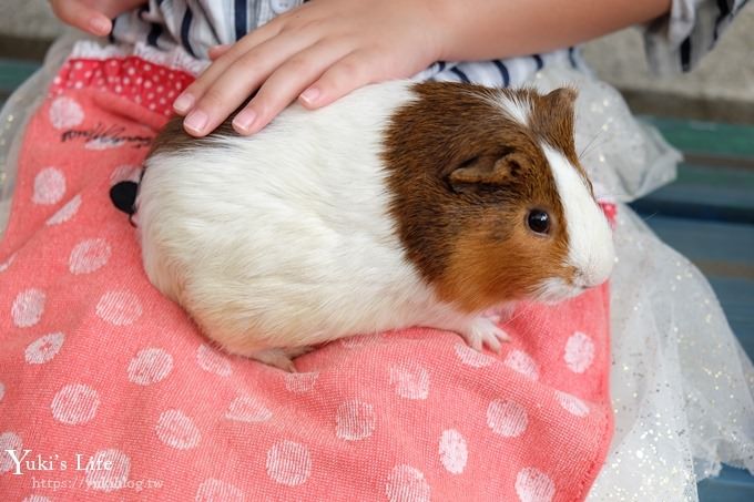 東京親子景點【荒川遊園地】親子同遊高CP值遊樂園!餵動物、釣魚、玩水去！ - yuki.tw