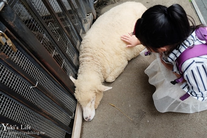 東京親子景點【荒川遊園地】親子同遊高CP值遊樂園!餵動物、釣魚、玩水去！ - yuki.tw