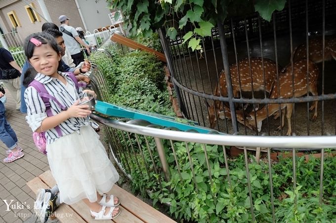 東京親子景點【荒川遊園地】親子同遊高CP值遊樂園!餵動物、釣魚、玩水去！ - yuki.tw