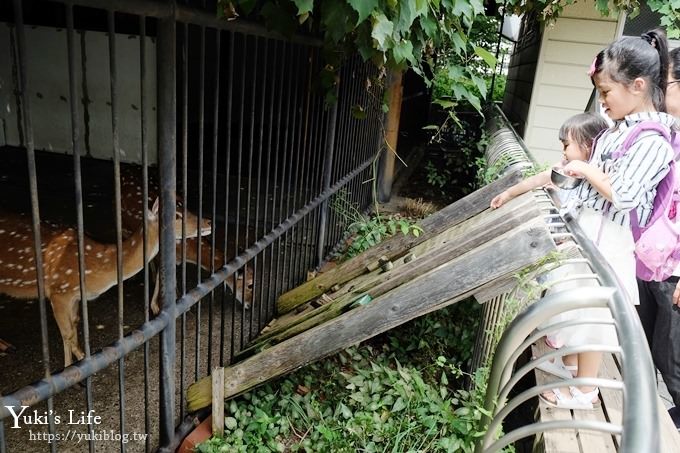 東京親子景點【荒川遊園地】親子同遊高CP值遊樂園!餵動物、釣魚、玩水去！ - yuki.tw