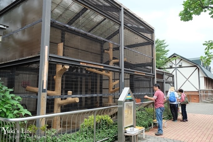 東京親子景點【荒川遊園地】親子同遊高CP值遊樂園!餵動物、釣魚、玩水去！ - yuki.tw