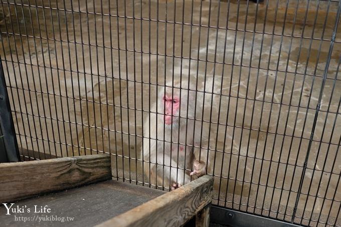 東京親子景點【荒川遊園地】親子同遊高CP值遊樂園!餵動物、釣魚、玩水去！ - yuki.tw