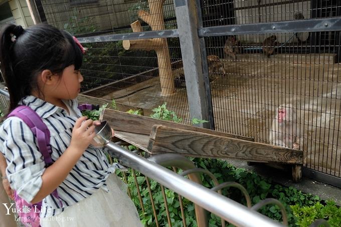 東京親子景點【荒川遊園地】親子同遊高CP值遊樂園!餵動物、釣魚、玩水去！ - yuki.tw