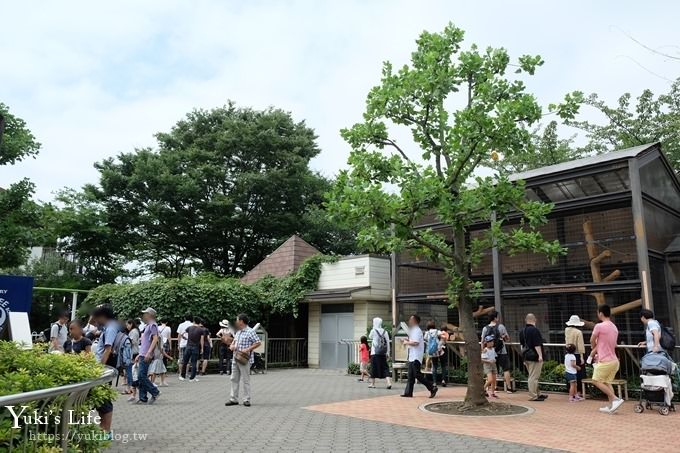 東京親子景點【荒川遊園地】親子同遊高CP值遊樂園!餵動物、釣魚、玩水去！ - yuki.tw