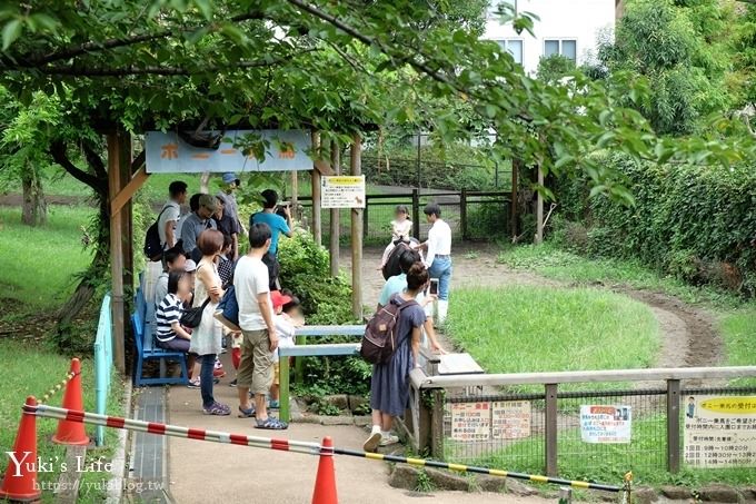 東京親子景點【荒川遊園地】親子同遊高CP值遊樂園!餵動物、釣魚、玩水去！ - yuki.tw