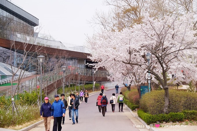 韓國首爾賞櫻景點【兒童大公園】動物園+賞花+遊樂園+野餐~多合一親子遊約會好去處 @兒童大公園站 - yuki.tw