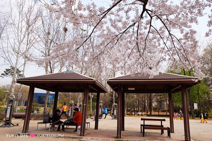 韓國首爾賞櫻景點【兒童大公園】動物園+賞花+遊樂園+野餐~多合一親子遊約會好去處 @兒童大公園站 - yuki.tw