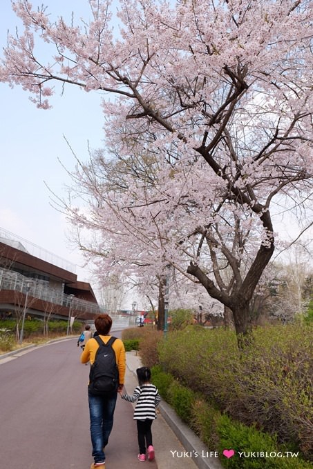 韓國首爾賞櫻景點【兒童大公園】動物園+賞花+遊樂園+野餐~多合一親子遊約會好去處 @兒童大公園站 - yuki.tw