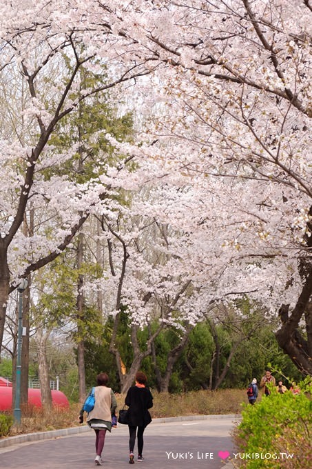 韓國首爾賞櫻景點【兒童大公園】動物園+賞花+遊樂園+野餐~多合一親子遊約會好去處 @兒童大公園站 - yuki.tw