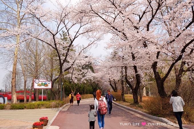 韓國首爾賞櫻景點【兒童大公園】動物園+賞花+遊樂園+野餐~多合一親子遊約會好去處 @兒童大公園站 - yuki.tw