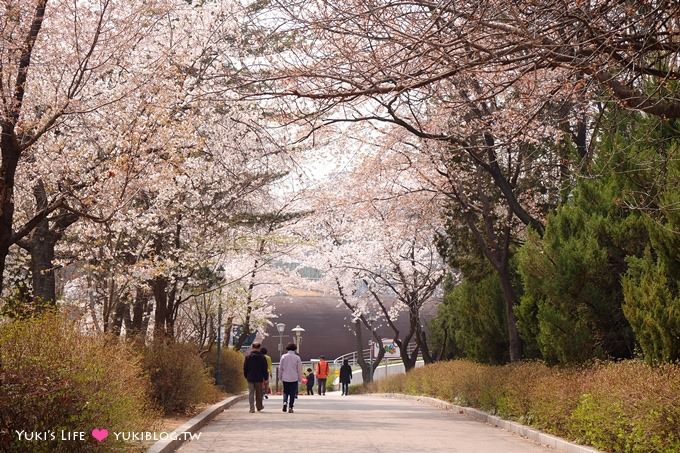 韓國首爾賞櫻景點【兒童大公園】動物園+賞花+遊樂園+野餐~多合一親子遊約會好去處 @兒童大公園站 - yuki.tw