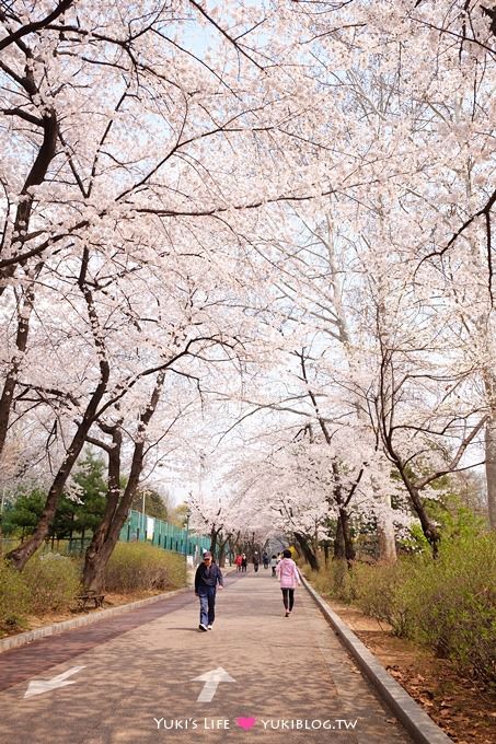 韓國首爾賞櫻景點【兒童大公園】動物園+賞花+遊樂園+野餐~多合一親子遊約會好去處 @兒童大公園站 - yuki.tw