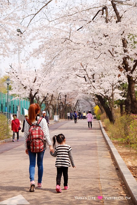 韓國首爾賞櫻景點【兒童大公園】動物園+賞花+遊樂園+野餐~多合一親子遊約會好去處 @兒童大公園站 - yuki.tw