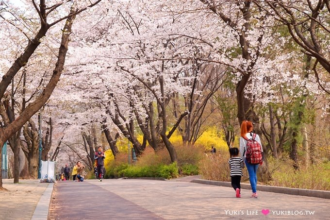 韓國首爾賞櫻景點【兒童大公園】動物園+賞花+遊樂園+野餐~多合一親子遊約會好去處 @兒童大公園站 - yuki.tw