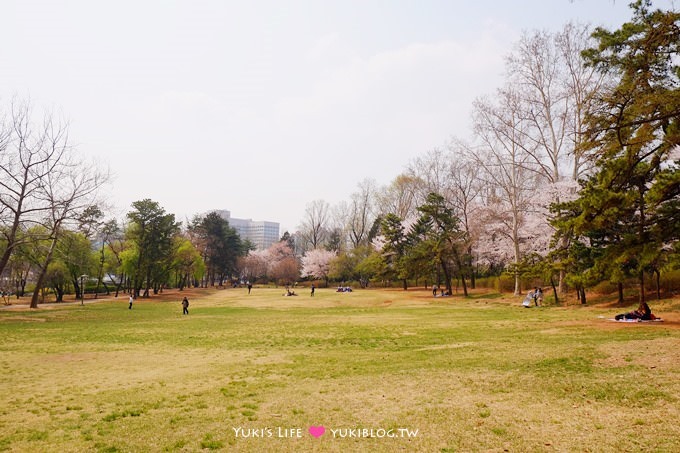 韓國首爾賞櫻景點【兒童大公園】動物園+賞花+遊樂園+野餐~多合一親子遊約會好去處 @兒童大公園站 - yuki.tw