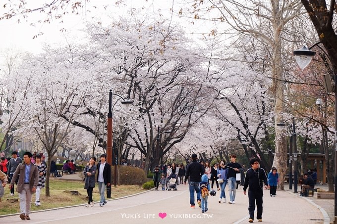 韓國首爾賞櫻景點【兒童大公園】動物園+賞花+遊樂園+野餐~多合一親子遊約會好去處 @兒童大公園站 - yuki.tw