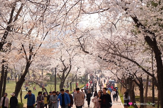 韓國首爾賞櫻景點【兒童大公園】動物園+賞花+遊樂園+野餐~多合一親子遊約會好去處 @兒童大公園站 - yuki.tw