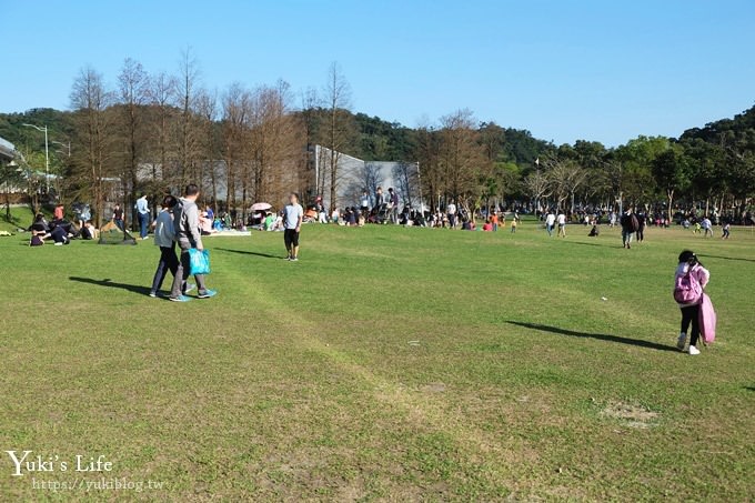 台北景點【大湖公園】搭捷運野餐去×超大草坪湖景親子景點 落羽松景點 - yuki.tw