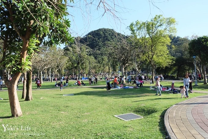 台北景點【大湖公園】搭捷運野餐去×超大草坪湖景親子景點 落羽松景點 - yuki.tw