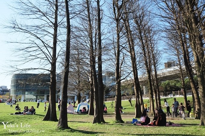 台北景點【大湖公園】搭捷運野餐去×超大草坪湖景親子景點 落羽松景點 - yuki.tw