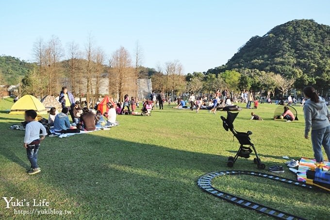 台北景點【大湖公園】搭捷運野餐去×超大草坪湖景親子景點 落羽松景點 - yuki.tw