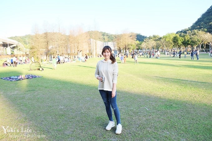 台北景點【大湖公園】搭捷運野餐去×超大草坪湖景親子景點 落羽松景點 - yuki.tw