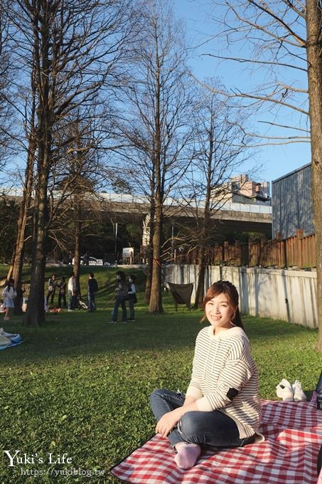 台北景點【大湖公園】搭捷運野餐去×超大草坪湖景親子景點 落羽松景點 - yuki.tw