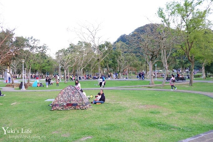 台北景點【大湖公園】搭捷運野餐去×超大草坪湖景親子景點 落羽松景點 - yuki.tw