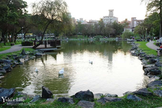 台北景點【大湖公園】搭捷運野餐去×超大草坪湖景親子景點 落羽松景點 - yuki.tw