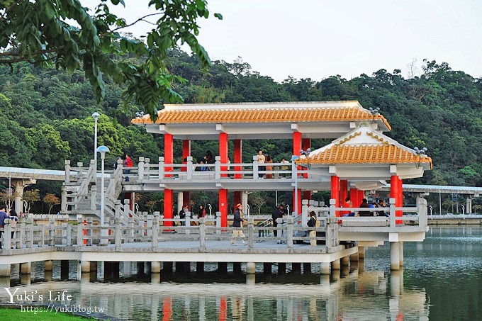 台北景點【大湖公園】搭捷運野餐去×超大草坪湖景親子景點 落羽松景點 - yuki.tw