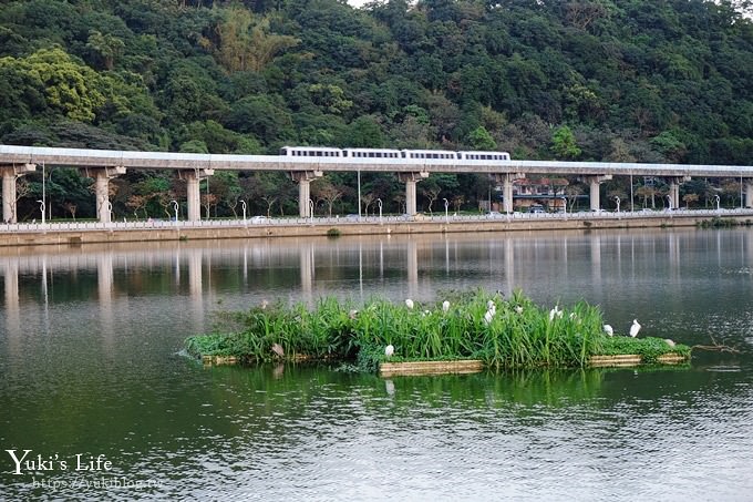 台北景點【大湖公園】搭捷運野餐去×超大草坪湖景親子景點 落羽松景點 - yuki.tw