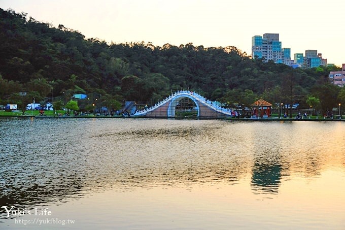 台北景點【大湖公園】搭捷運野餐去×超大草坪湖景親子景點 落羽松景點 - yuki.tw