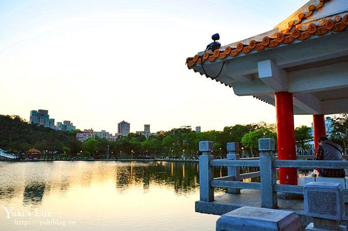 台北景點【大湖公園】搭捷運野餐去×超大草坪湖景親子景點 落羽松景點 - yuki.tw