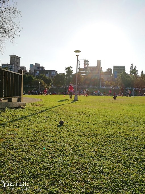 台北景點【大湖公園】搭捷運野餐去×超大草坪湖景親子景點 落羽松景點 - yuki.tw