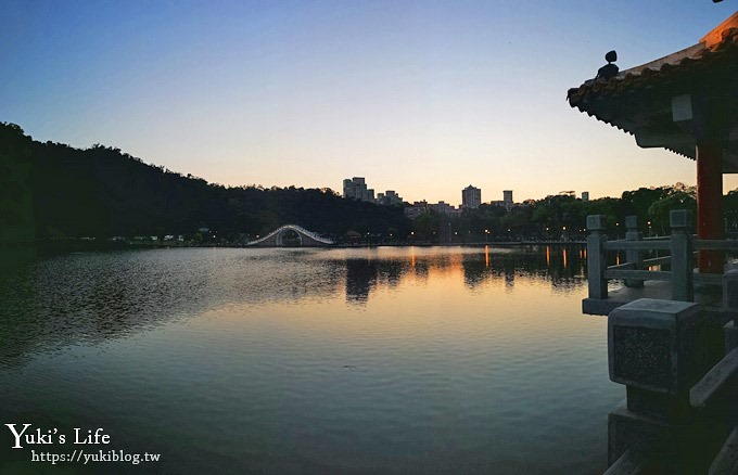 台北景點【大湖公園】搭捷運野餐去×超大草坪湖景親子景點 落羽松景點 - yuki.tw