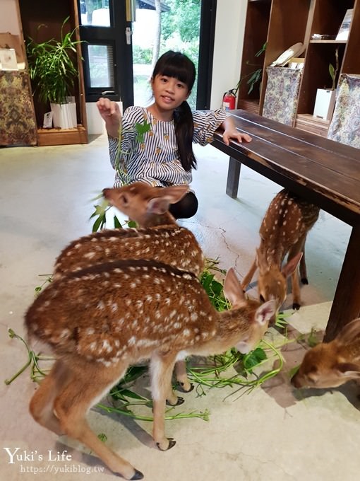 屏東親子景點【阿信巧克力農場】墾丁餵小鹿×巧克力DIY體驗生態之旅×兒童森林遊戲區 - yuki.tw