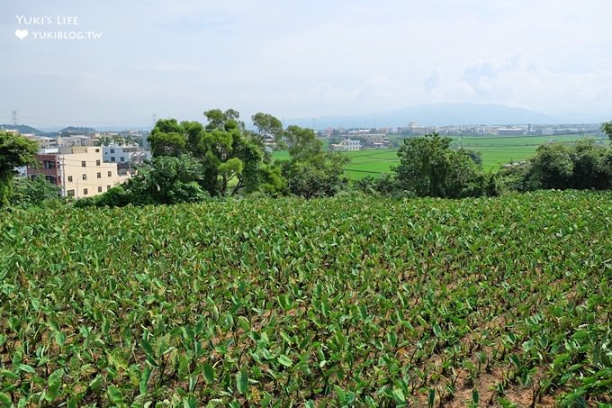 台中免費親子景點【布英熊文化創藝館】千坪大草皮、兒童遊戲區、沙池溜滑梯、氣墊、蝶古巴特土DIY - yuki.tw