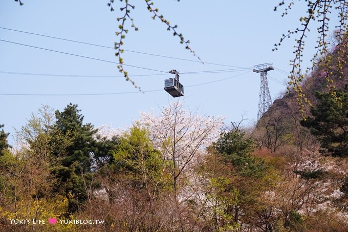 韓國首爾賞櫻景點【首爾塔】賞櫻花、迎春花~ 明洞步行小爬山輕鬆路線.不搭纜車人擠人 - yuki.tw