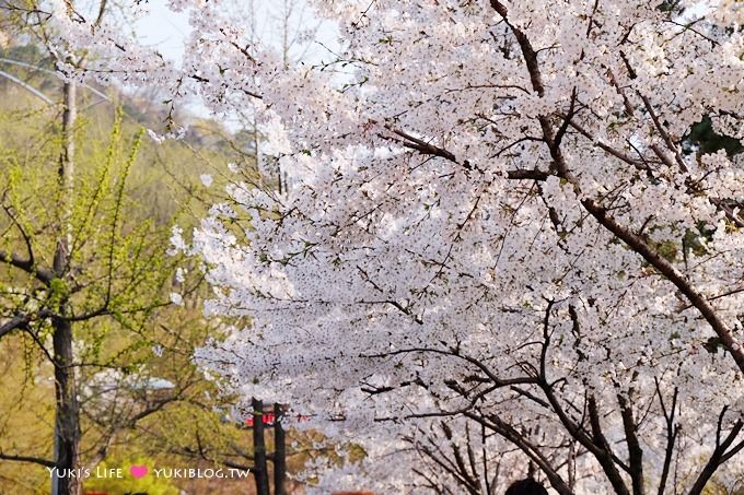 韓國首爾賞櫻景點【首爾塔】賞櫻花、迎春花~ 明洞步行小爬山輕鬆路線.不搭纜車人擠人 - yuki.tw