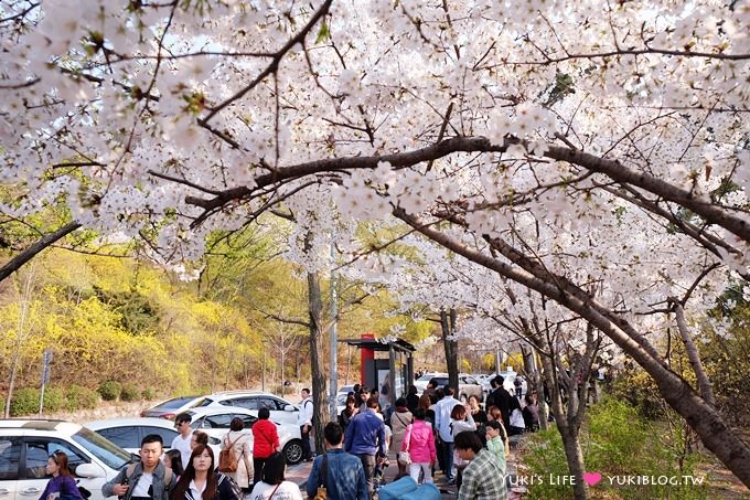 韓國首爾賞櫻景點【首爾塔】賞櫻花、迎春花~ 明洞步行小爬山輕鬆路線.不搭纜車人擠人 - yuki.tw