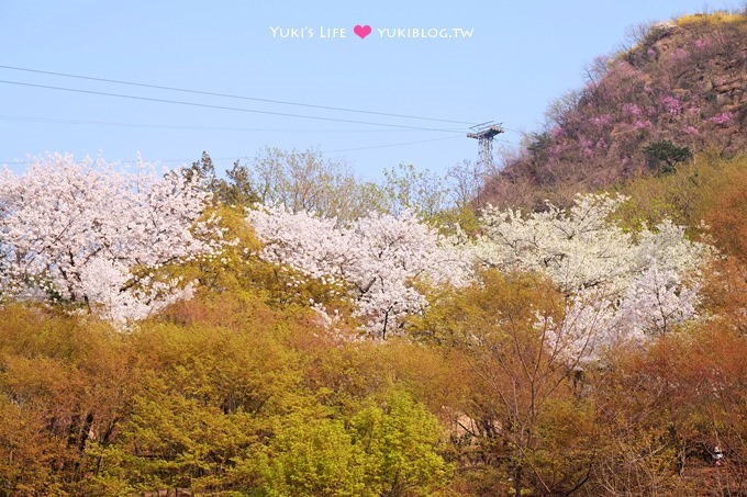 韓國首爾賞櫻景點【首爾塔】賞櫻花、迎春花~ 明洞步行小爬山輕鬆路線.不搭纜車人擠人 - yuki.tw